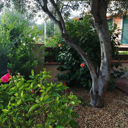 La Casa Nel Borgo Villa Chia Luaran gambar