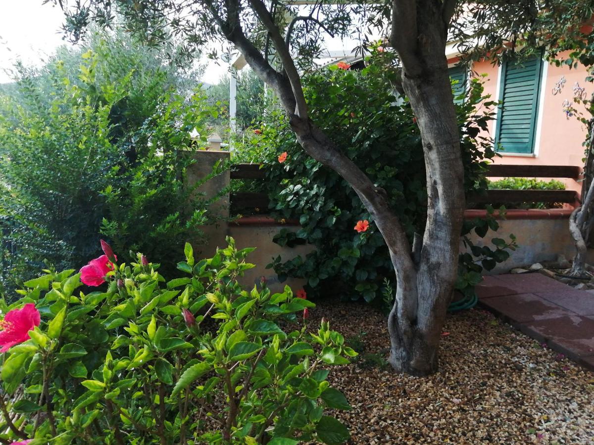 La Casa Nel Borgo Villa Chia Luaran gambar